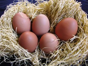 有精卵 野たまご ＠京都・大原 山田農園「1玉85円の平飼いこだわり卵」実食レビュー