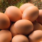 大川さんの卵 ＠京都・京北「昼には売り切れる無人販売の人気卵」実食レビュー