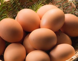 大川さんの卵 ＠京都・京北「昼には売り切れる無人販売の人気卵」実食レビュー