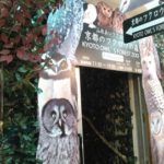 京都オススメスポット1 京都のフクロウの森