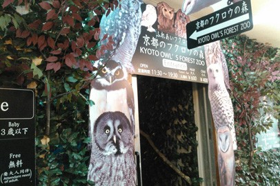 京都オススメスポット1 京都のフクロウの森