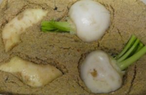 生涯をかけた57年物の糠床で作る「どぼ漬け」が京都にはある