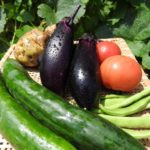 京都・御室で「京の野菜処 八百幸」さんが野菜の出張販売を開始