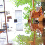 カフェ☆スター