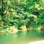 京都の秘境「百井（ももい）」がNHK『えぇトコ』で紹介