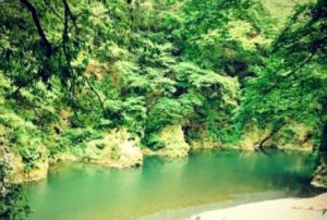 京都の秘境「百井（ももい）」がNHK『えぇトコ』で紹介