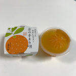 みかんが丸ごと入ったゼリー　“養老軒の、京の手まり唄”
