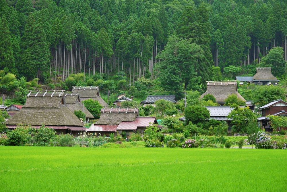 もしもツアーズで京都の秘境「美山 かやぶきの里」が紹介されます