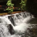 古今藤や ＠京都・貴船「川床のあるカフェ」が新店オープン