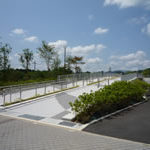 三段池公園 ＠京都・福知山 まるで北海道「哲学の木」みたいな絶景が京都にある