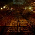 南禅寺 菊水　サプライズ的哲学的要素たっぷりの老舗美食料理を夜の紅葉を見ながら優雅に食す・・・(^_^.)