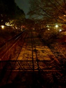 南禅寺 菊水　サプライズ的哲学的要素たっぷりの老舗美食料理を夜の紅葉を見ながら優雅に食す・・・(^_^.)