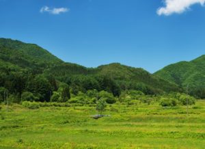 山国さきがけセンター ＠京都・京北「旅サラダ 古坂大魔王さん大人の修学旅行」で紹介