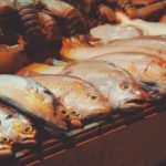 旬菜鮮魚 和香（わこう） ＠京都・千本出水「お魚メインの居酒屋」2019年3月5日新店オープン