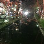 西木屋町 立ち呑み きゃさ ワタル君が教えてくれた究極の立ち呑み処 衝撃度No.1 良心的な良い店です(^.^)