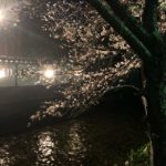 祇園 炭火やきとり とり新&京都の祇園で夜桜を見るならココは外せない！おすすめスポット！
