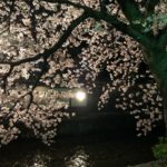 祇園 縁むすび縁 キャサリン、温さん、毎回この店での出会いが楽しく、ついつい来てしまう、こてつパパ(^_^;)