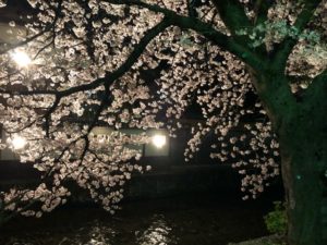 祇園 縁むすび縁 キャサリン、温さん、毎回この店での出会いが楽しく、ついつい来てしまう、こてつパパ(^_^;)