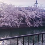 京都グルメレポート293「店名不明」ジャンボたこ焼き