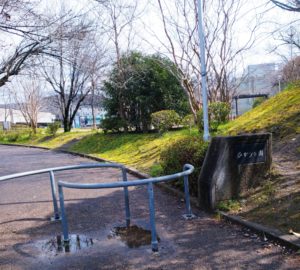京都公園めし4　ひかり公園で「元気屋」の弁当大人食い