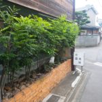 京都グルメレポート333「方圓美味」麻婆豆腐定食