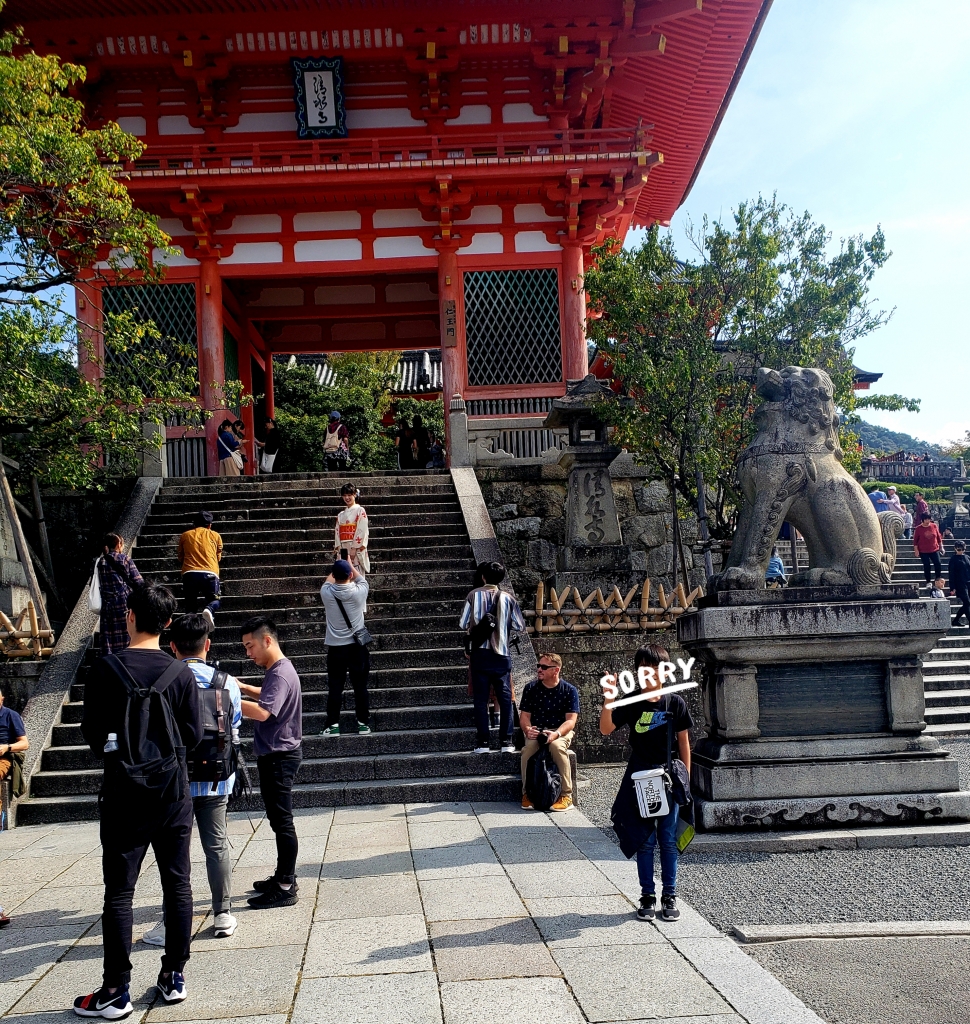 京都オススメスポット15　清水寺と忠儀茶屋
