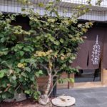 京 東寺うね乃 【京都】