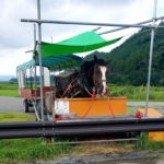 京都オススメスポット22　京馬車