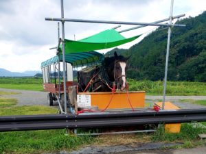 京都オススメスポット22　京馬車