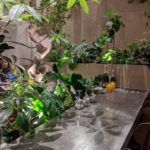 熱香森 ★★★☆☆【大阪】