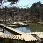 六甲山Greenia（グリーニア）体験記～結局全部回れなかったけど・・・