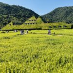 京都グルメレポート番外編79「ラ・コリーナ近江八幡」焼きたてバームクーヘンセット