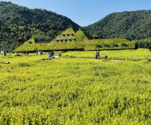 京都グルメレポート番外編79「ラ・コリーナ近江八幡」焼きたてバームクーヘンセット