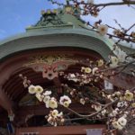 北野天満宮の梅と洋食の松吉