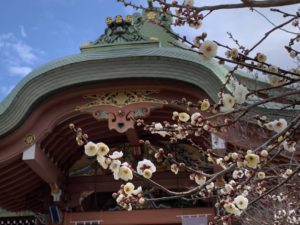 北野天満宮の梅と洋食の松吉
