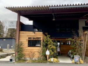 まだ雪が残る、メタセコイヤの木までドライブ