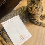 京都グルメレポート633「本家第一旭」ラーメン