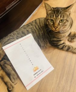 京都グルメレポート633「本家第一旭」ラーメン