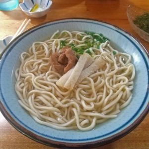 東洋のガラパゴス。西表島入りからのナイトツアー1日目