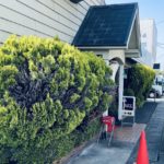 京都グルメレポート656「トーホー食堂」とんかつ定食