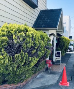 京都グルメレポート656「トーホー食堂」とんかつ定食