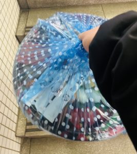 京都グルメレポート663「寿司のむさし　三条本店」鞍馬