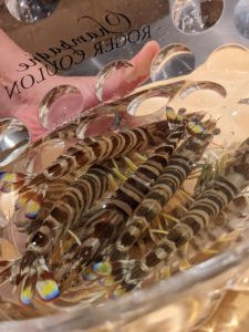 鮨 赤木 後編 ★★★★☆【大阪】