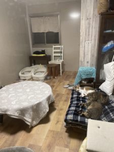 京都グルメレポート703　氷点下の三ツ矢サイダー