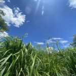 ラー麺 天笑 ★★★☆☆【京都】