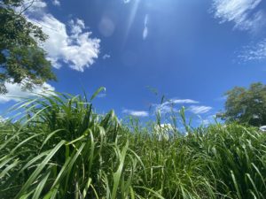 ラー麺 天笑 ★★★☆☆【京都】