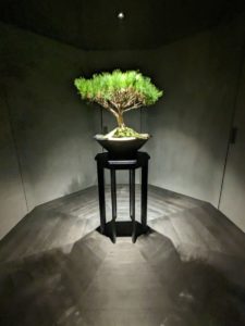 #肉といえば松田 後編★★★★★【奈良】