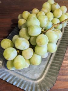 zensockskitchen〜シャインマスカットと無花果とモッツァレラチーズ〜