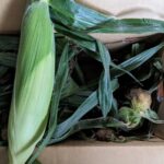 zensockskitchen〜とうもろこし料理〜