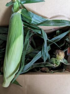 zensockskitchen〜とうもろこし料理〜